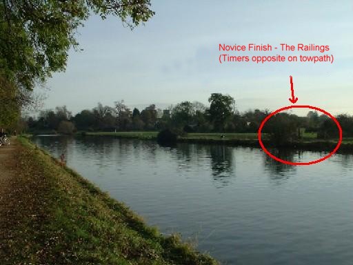 Novice Finish